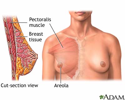 Normal anatomy