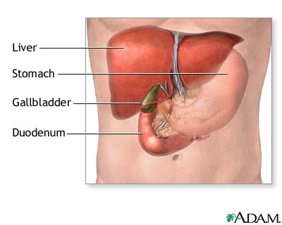 Normal anatomy