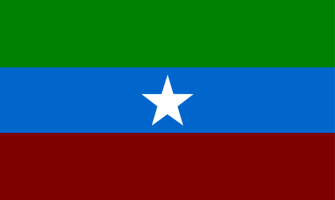 File:ONLF flag.svg