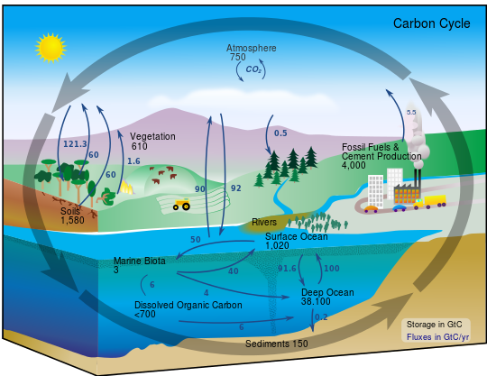 File:Carbon cycle-cute diagram.svg