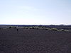 Craters of the Moon National Monument and Preserve 5.jpg