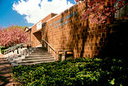 Zimmerli Art Museum at Rutgers University.jpg