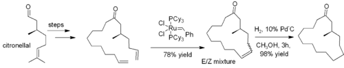 Ring-closing metathesis used in synthesis of muscone