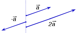 The scalar multiplications 2a and −a of a vector a