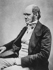 Three quarter length studio photo showing Darwin's characteristic large forehead and bushy eyebrows with deep set eyes, pug nose and mouth set in a determined look. He is bald on top, with dark hair and long side whiskers but no beard or moustache. His jacket is dark, with very wide lapels, and his trousers are a light check pattern. His shirt has an upright wing collar, and his cravat is tucked into his waistcoat which is a light fine checked pattern.