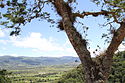 Valle de Samaipata, Santa Cruz, Bolivia.jpg