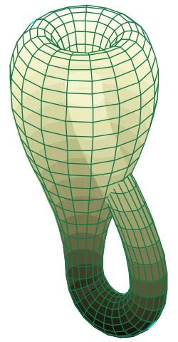 File:Klein bottle.svg