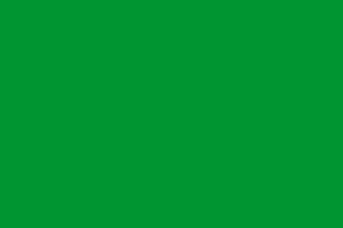 File:Fatimid flag.svg