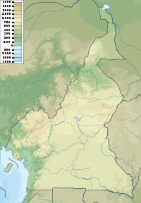 Mount Cameroon is located in Cameroon